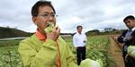 'Đại gia' Nhật giúp nông dân Việt bớt khổ